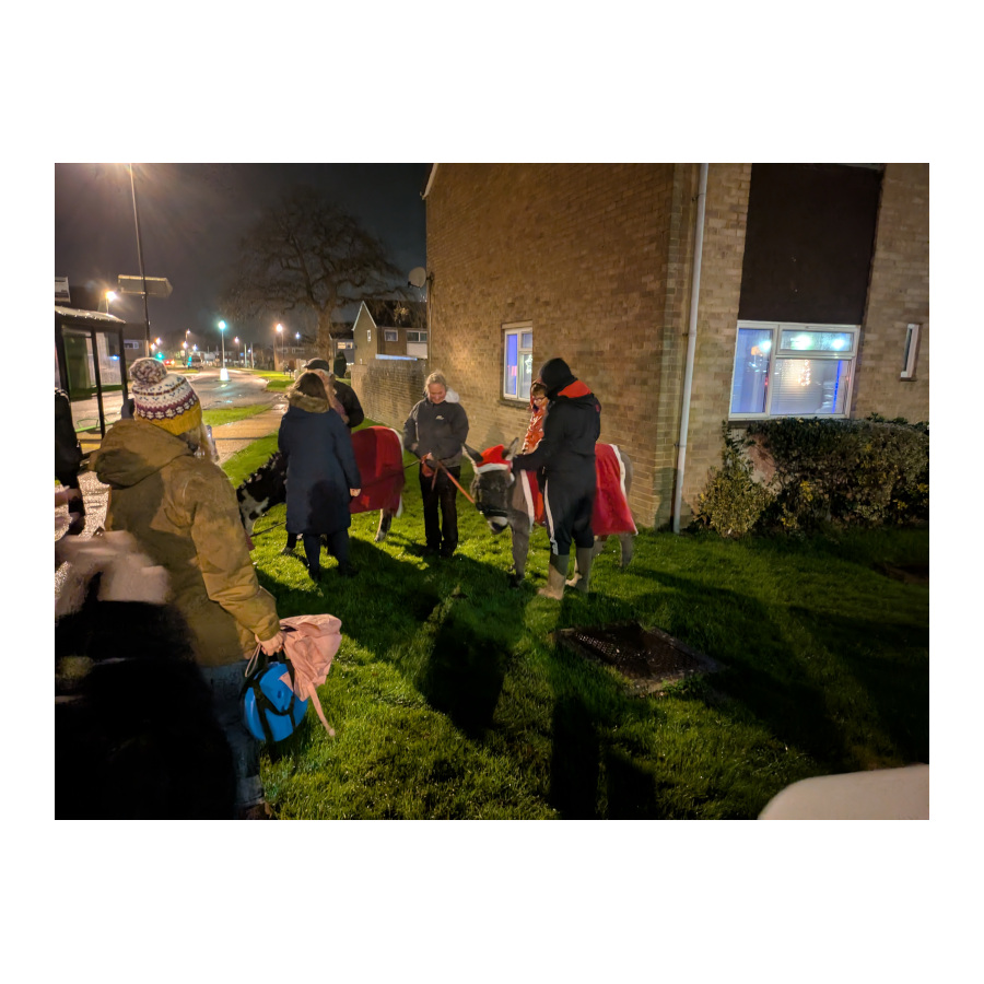 Carol singing with donkeys